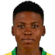 N. Mthandi