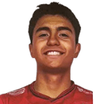 Nicolas Villarroel Galindo