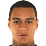 G. van der Wiel