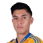 M. Farfan