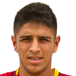 Pablo Javier Alcoba Silva