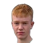 B. Þorsteinsson