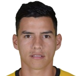 R. Villamizar