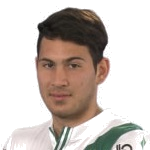 M. Asenjo