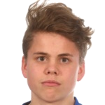 T. Svendsen