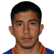 L. Ibarra