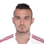 M. Šulek