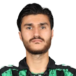 C. Çelik