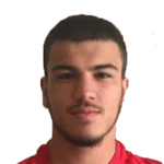 C. Doğan