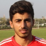 تولغا شاهين