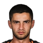 M. Shved
