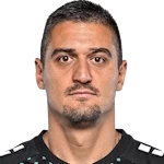 N. Nedić