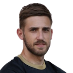 N. Braunović