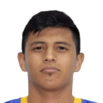 L. Ibarra