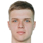 N. Bylinkin