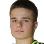 K. Yankovskiy