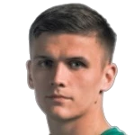 M. Plotnikov