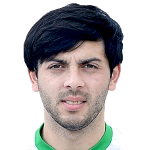 R. Memeshev