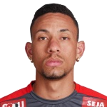 Wallace Ribeiro Barato