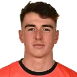 L. Healy