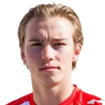 F. Lassas