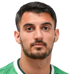 M. Ahadi