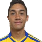D. Navarro