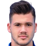 M. Čubrilo