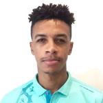 Wellington Priori