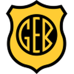 باجي logo
