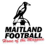 مايتلاند logo
