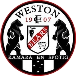 Weston Bears logo