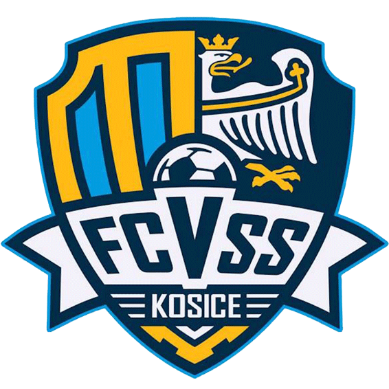 كوشيتسه logo