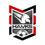 هولاند بارك هوكس logo
