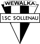 سوليناو logo