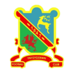 Ynysgerwn logo