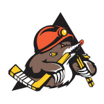 Shakhtyor Res. logo