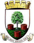 ويلز سيتي logo