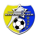 بينتانج لاير logo