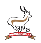 روينشاما logo