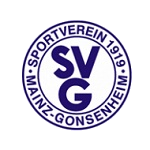 جونزنهايم logo