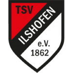 إيلشوفن logo