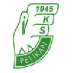 بيليكان ووفيتش logo