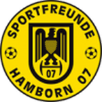 إس إف هامبورن logo