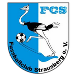 شتراوسبرغ logo