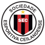 سيلاندينسي logo