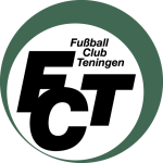 تينينغن logo