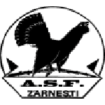 أوليمبيك زارنيشت logo