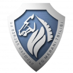 Merani Tbilisi II logo