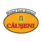 سينتيزا كاوسيني logo